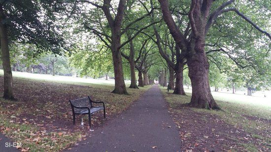 Forest Recreation Ground